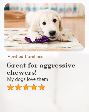 dog toys for aggressive chewers