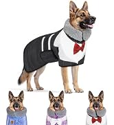 Bienbee Dog Bathrobe for Drying Dogs, Quick Drying Dog Robes for After Bath Super Absorbent Dogs ...