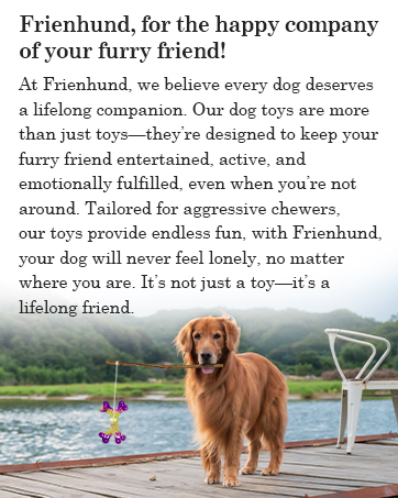 dog toys for aggressive chewers