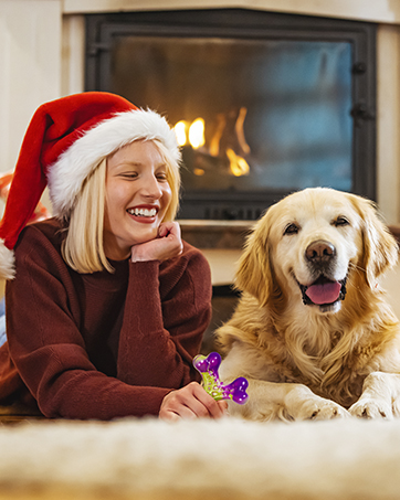 dog toys for aggressive chewers
