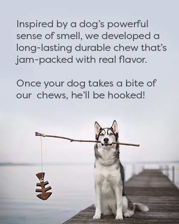 Long-lasting durable dog chew toys for aggressive chewers