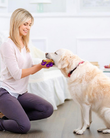 dog toys for aggressive chewers