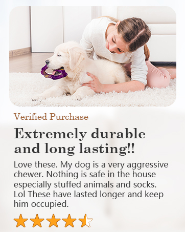 dog toys for aggressive chewers