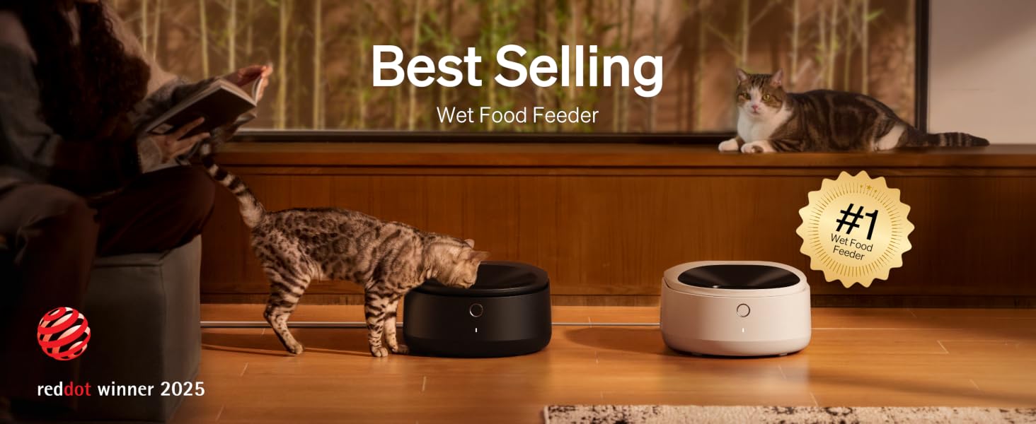 Automatic cat feeder wet food