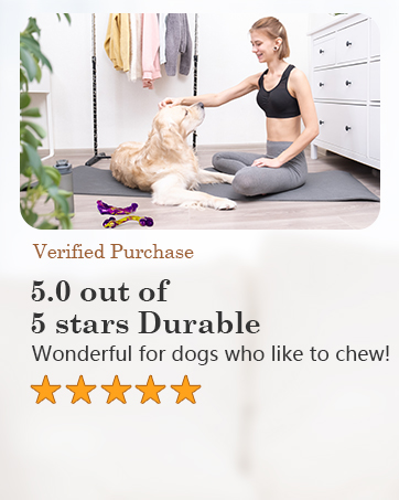 dog toys for aggressive chewers