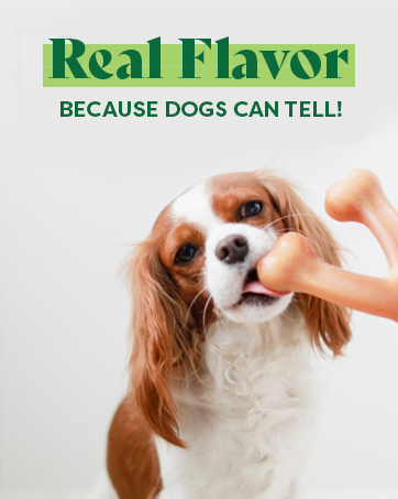 Dog Toys for Aggressive Chewers